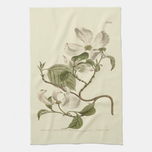 White Dogwood Flowers Illustration Theedoek (Verticaal)
