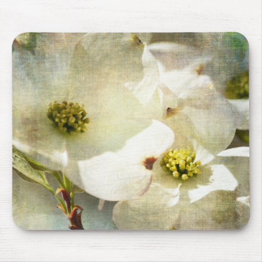 White Dogwood Flowers Muismat (Voorkant)