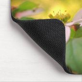 White Dogwood Flowers Muismat (Hoek)