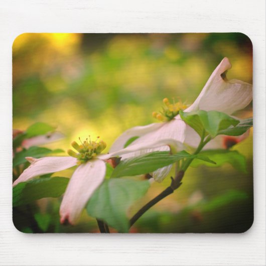 White Dogwood Flowers Muismat (Voorkant)