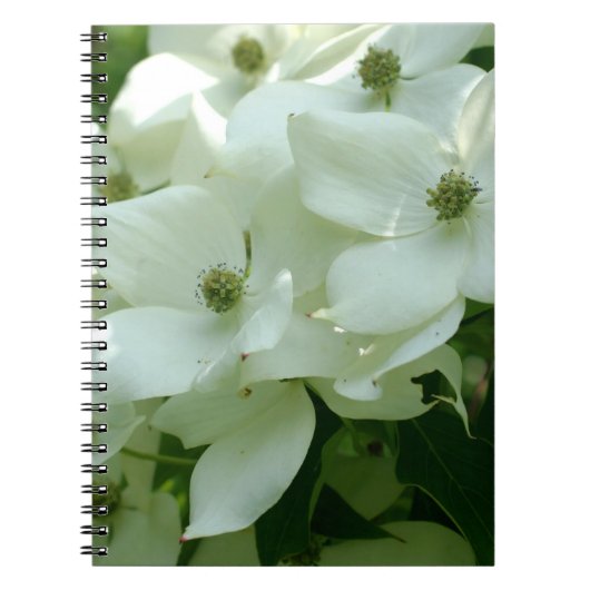 White Dogwood Flowers Natuur Notitieboek (Voorkant)
