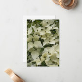 White Dogwood Flowers Notitiekaartje (Voorkant / Achterkant in situ)