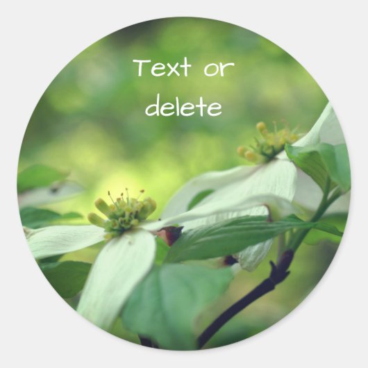 White Dogwood Flowers Personalized Ronde Sticker (Voorkant)