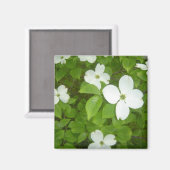 White Dogwood Tree Magneet (Voorkant / Achterkant)