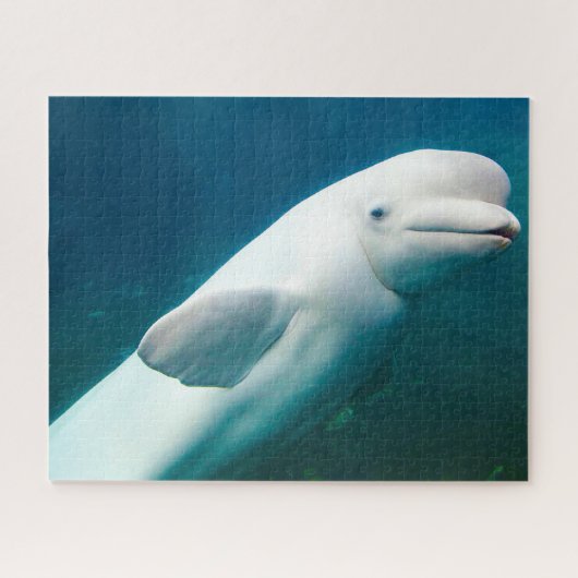 White Dolphin Jigzaag Puzzle Legpuzzel (Horizontaal)