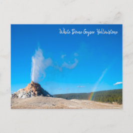 White Dome Geyser Eruption Yellowstone Briefkaart