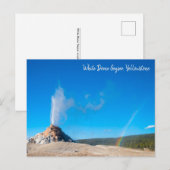 White Dome Geyser Eruption Yellowstone Briefkaart (Voorkant / Achterkant)