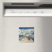 White Dome Magnet (Insitu (Vaatwasser))