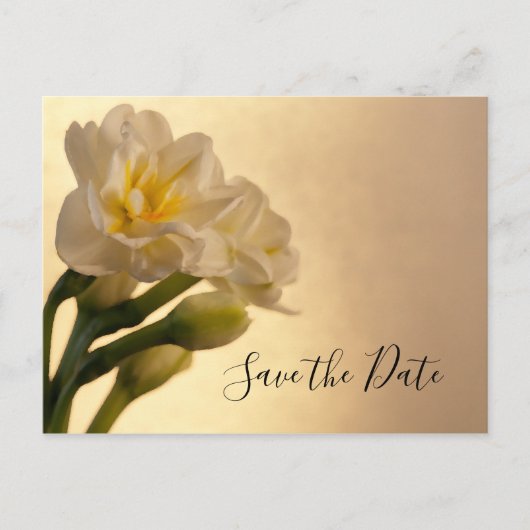 White Double Daffodil Spring Wedding Save the Date Aankondigingskaart (Voorkant)