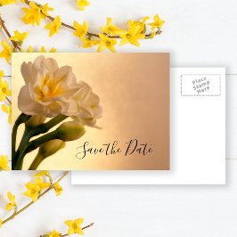 White Double Daffodil Spring Wedding Save the Date Aankondigingskaart