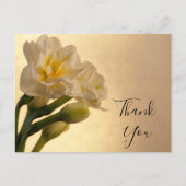 White Double Daffodils Bedankt Briefkaart (Voorkant)