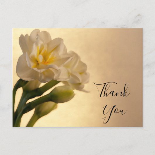 White Double Daffodils Bedankt Briefkaart (Voorkant)