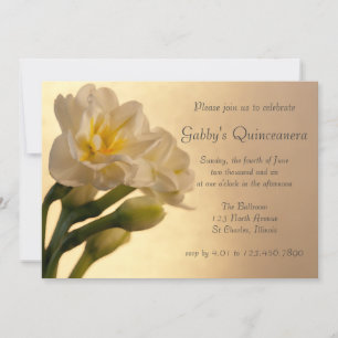 White Double Daffodils Quinceanera Invitation Kaart