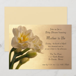 White Double Daffodils Spring Baby shower Kaart