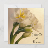White Double Daffodils Spring Wedding Kaart (Voorkant)