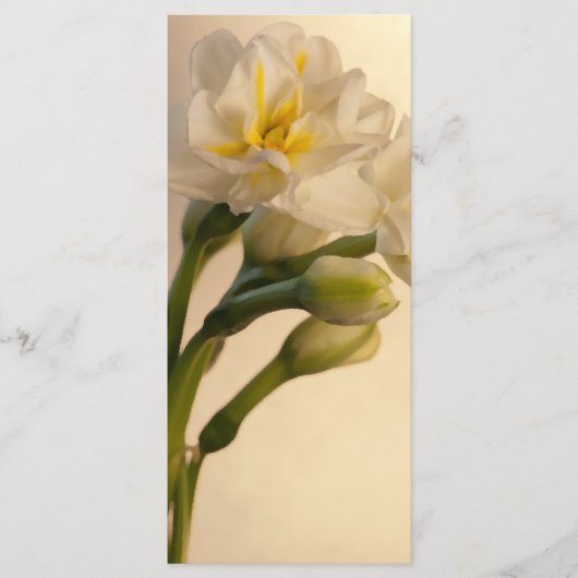 White Double Daffodils Spring Wedding Programme Programmakaart (Voorkant)