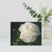 White Double Peonies Briefkaart (Staand voorkant)