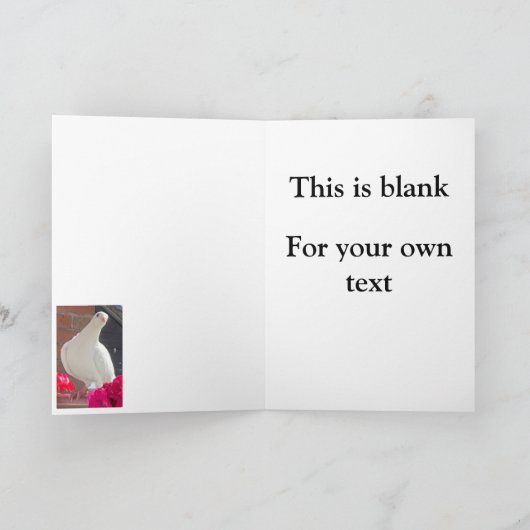 White Dove Bewerkbaar  Kaart (Binnen)