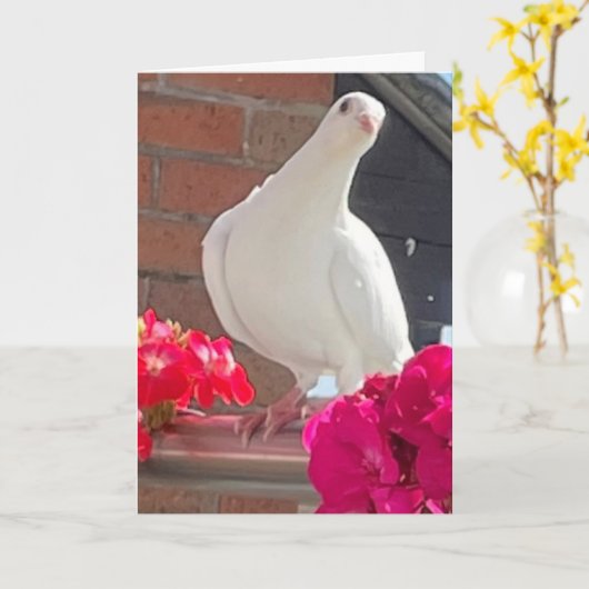 White Dove Bewerkbaar Kaart (Gele Bloem)