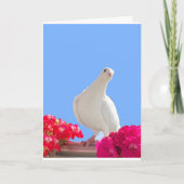 White Dove Bewerkbare Kaart (Voorkant)