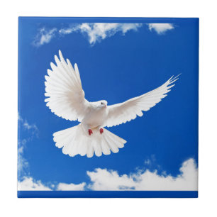 White Dove Bird Love Flying Sky Tegeltje