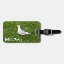 White Dove for bird and Pigeon lover gift
