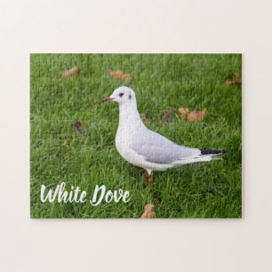 White Dove for bird and Pigeon lover gift Legpuzzel