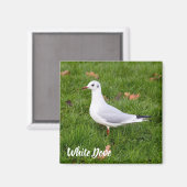 White Dove for bird and Pigeon lover gift Magneet (Voorkant / Achterkant)