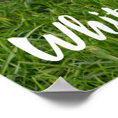 White Dove for bird and Pigeon lover gift Poster (Hoek)