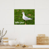 White Dove for bird and Pigeon lover gift Poster (Keuken)