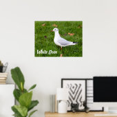 White Dove for bird and Pigeon lover gift Poster (Thuiskantoor)