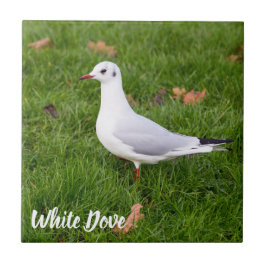 White Dove for bird and Pigeon lover gift Tegeltje