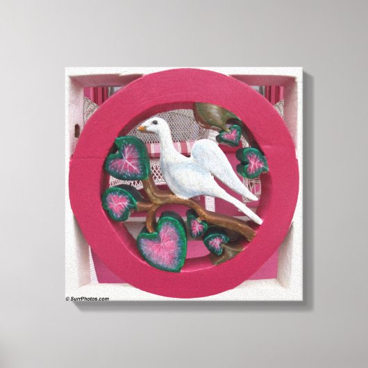 White Dove on Pink - Martha's Vineyard Canvas Afdruk (Voorkant)