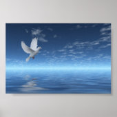 White Dove Poster (Voorkant)
