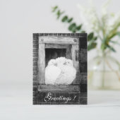 WHITE DOVES BIJ HET VENSTER zwart-wit Briefkaart (Staand voorkant)