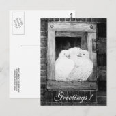 WHITE DOVES BIJ HET VENSTER zwart-wit Briefkaart (Voorkant / Achterkant)