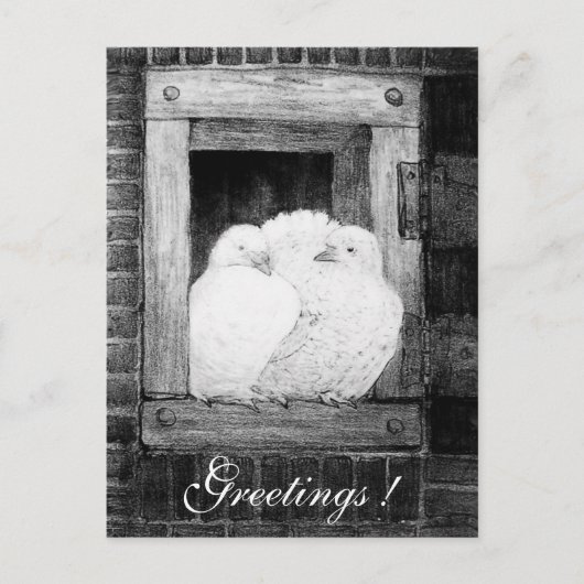 WHITE DOVES BIJ HET VENSTER zwart-wit Briefkaart (Voorkant)