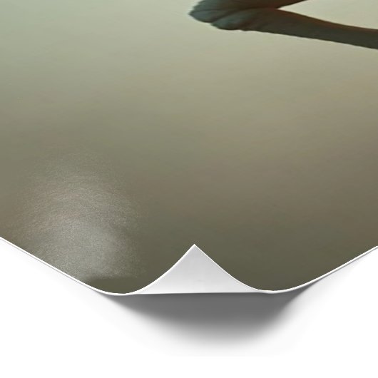 White Dragon Rider Poster (Hoek)