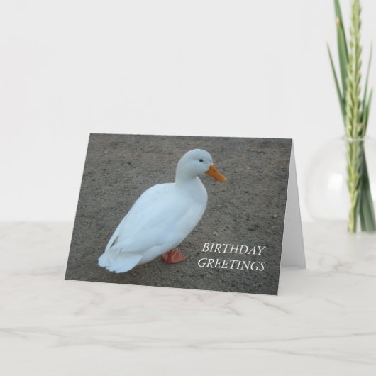 White Duck Birthday Kaart (Voorkant)