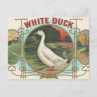 White Duck Briefkaart