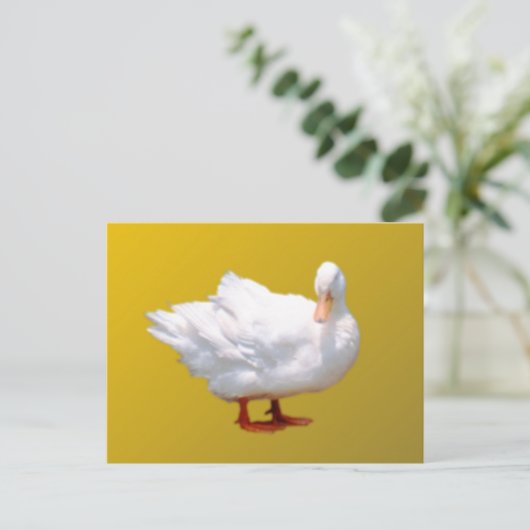 White Duck Briefkaart (Staand voorkant)