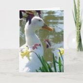 White Duck in Daffodils Happy Easter Kaart (Voorkant)