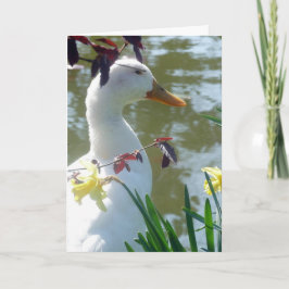 White Duck in Daffodils Happy Easter Kaart