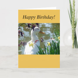 White Duck in Yellow Daffodils Kaart
