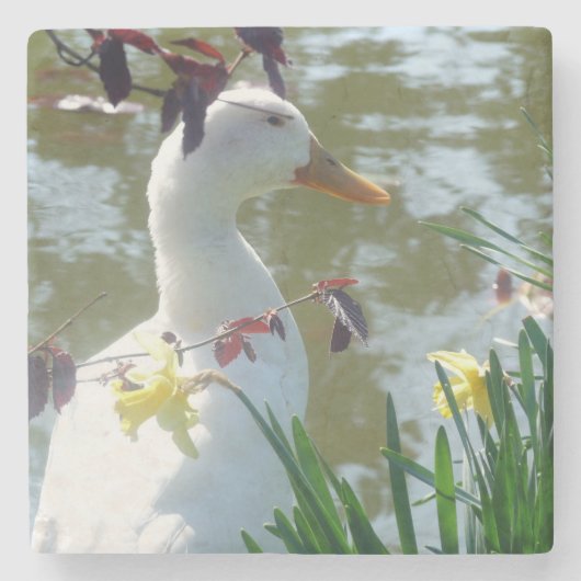 White Duck in Yellow Daffodils Onderzetter (Voorkant)