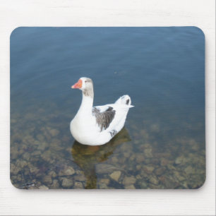 White Duck Muismat