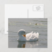 White Duck Photo Briefkaart (Voorkant / Achterkant)