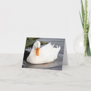 White Duck Photo Folded Note Kaart