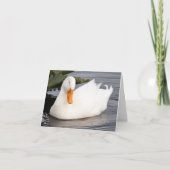White Duck Photo Folded Note Kaart (Voorkant)