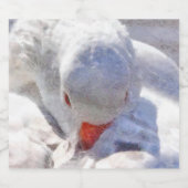 White Duck Preening Art Bier Etiket (Enkel label)